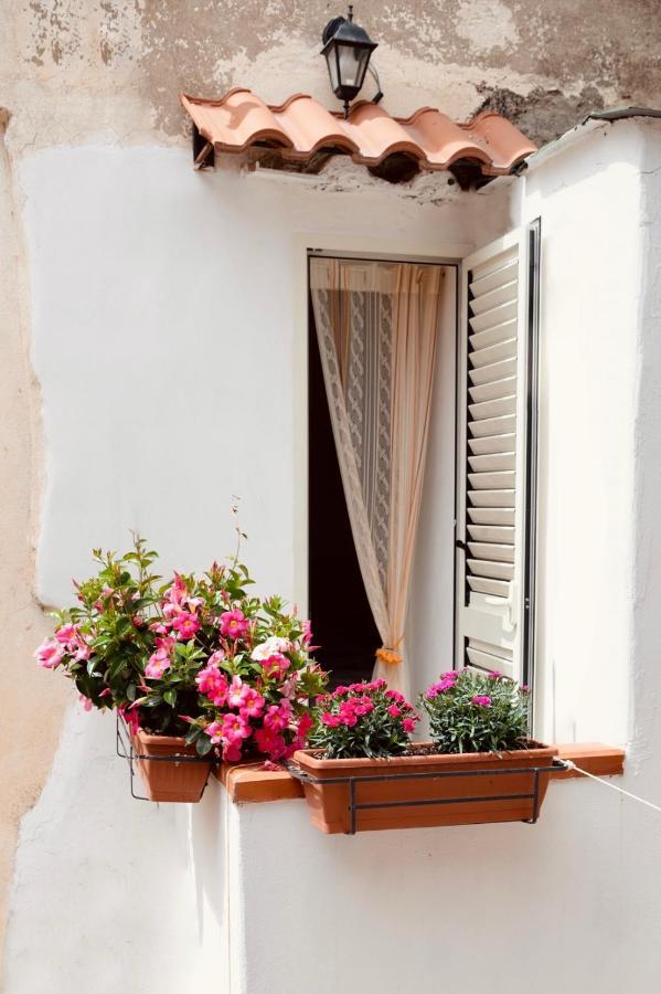 Il Riccio Apartment 28 Procida Luaran gambar